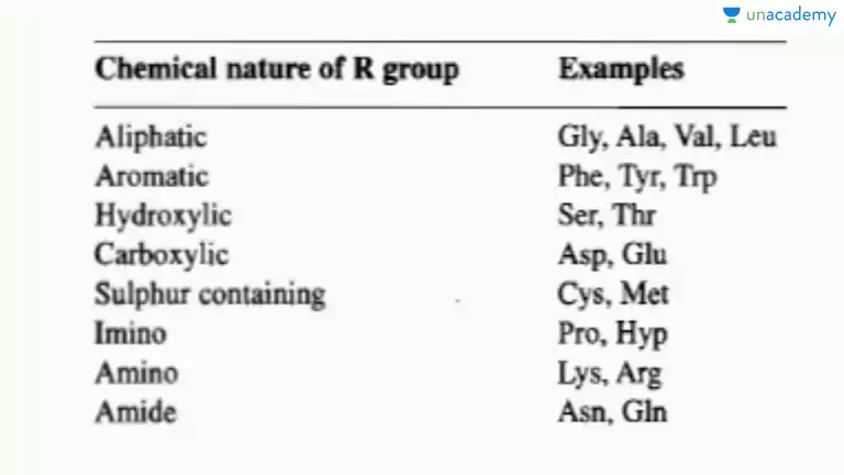 classifying amino acids