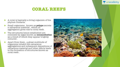 UPSC CSE - GS - Coral Reefs and Coral Bleaching (in Hindi) Offered by ...