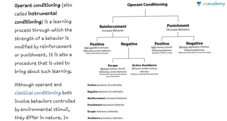 bf skinner and operant conditioning