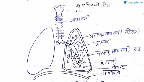 internal organs in tamil