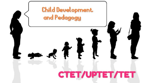 Teaching Superpack - Child Development and Pedagogy Offered by Unacademy