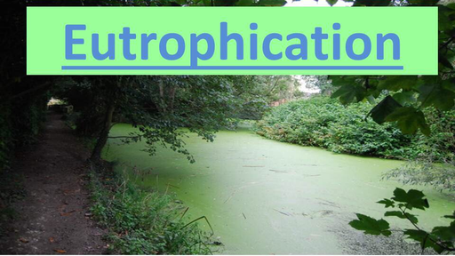 UPSC CSE - GS - (Hindi) Eutrophication: UPSC CSE by Unacademy