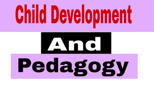 Teaching Superpack - Child Development And Pedagogy Part 5 ( in Hindi ...