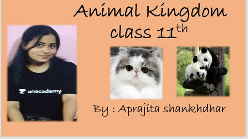 Animal Kingdom Diversity Of Living Organisms Biology Neet Ug Jee And Neet Preparation Test Preparation Unacademy