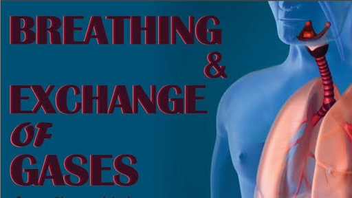 Respiratory system visual data 2