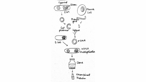 CBSE Class 12 - Molecular Diagnosis Offered by Unacademy