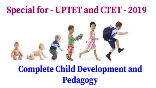 Teaching Superpack - Child Development and Pedagogy 500+ Questions ...