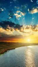 learner-review-learner